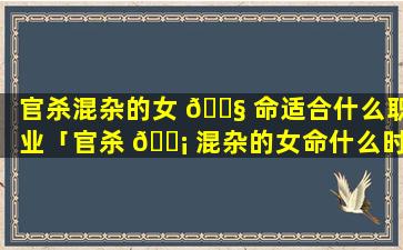 官杀混杂的女 🐧 命适合什么职业「官杀 🐡 混杂的女命什么时候结婚」